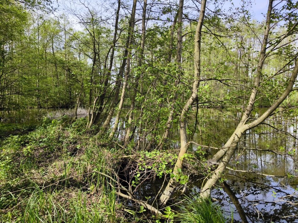 Działka rolna Wydorowo