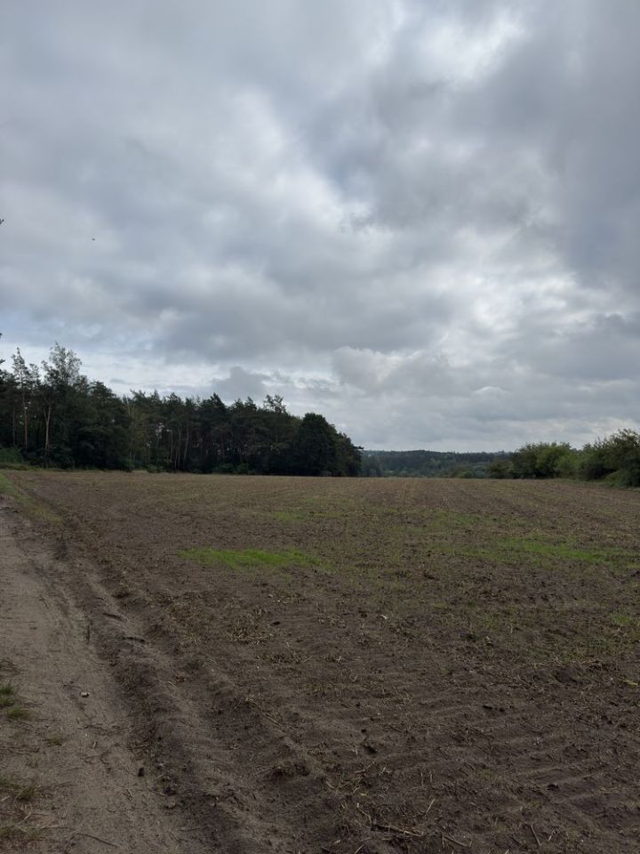 Działka budowlana Szeligi. Zdjęcie 2