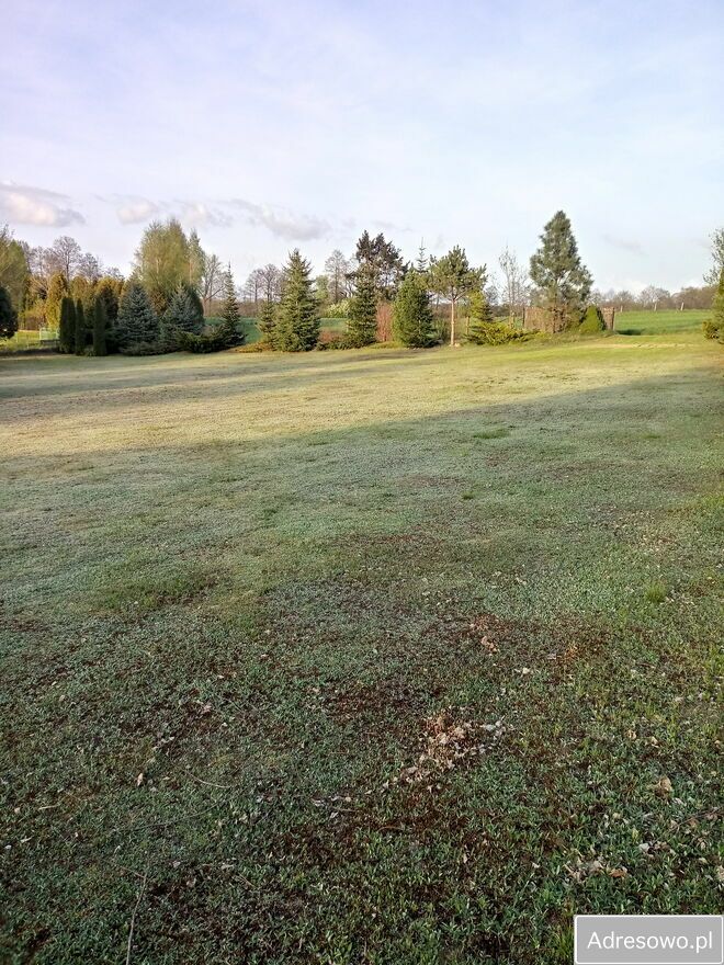 Działka budowlana Orzyny. Zdjęcie 6