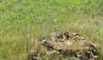 Działka budowlana Turzyn