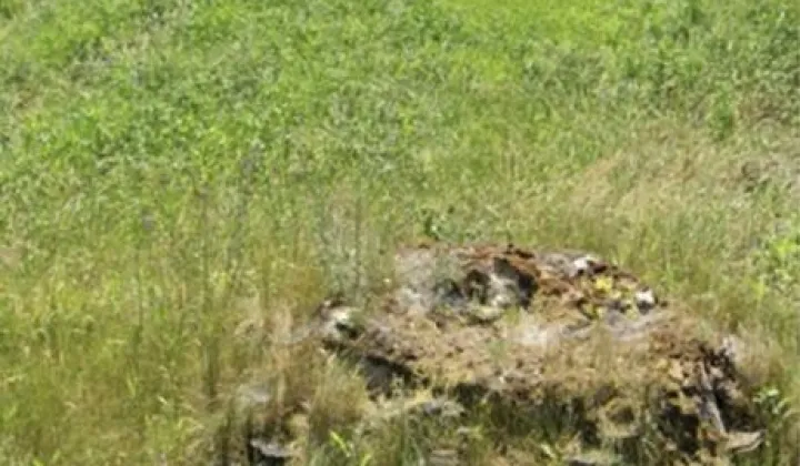 Działka budowlana Turzyn