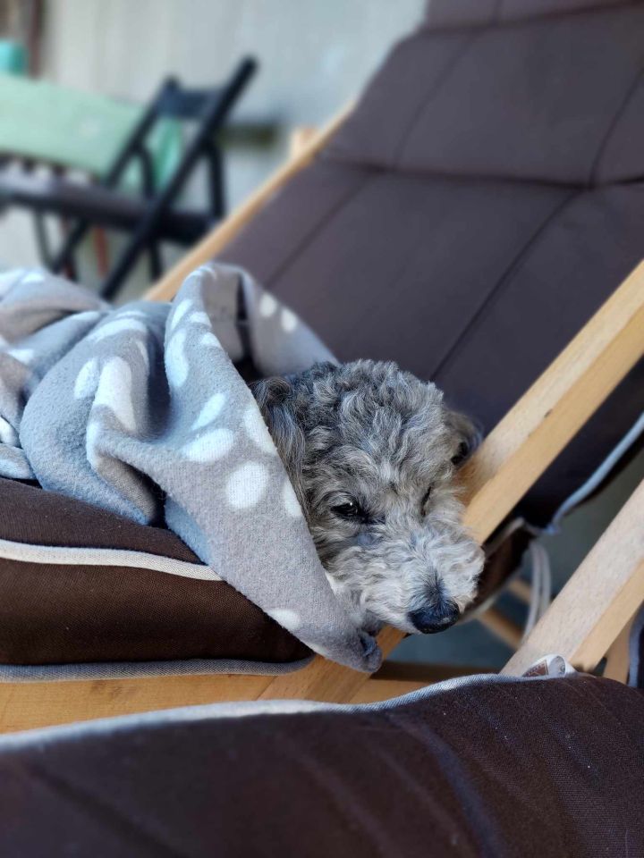 Działka rod Grójec, ul. Graniczna. Zdjęcie 25