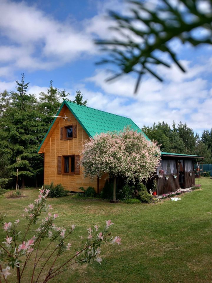 Działka rekreacyjna Nowy Orzechów. Zdjęcie 1