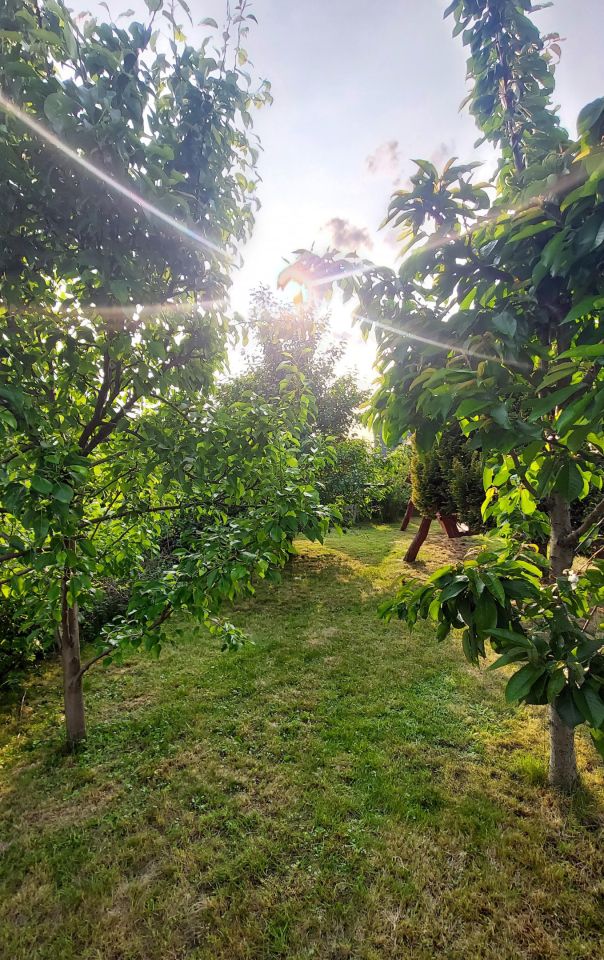 Działka rod Żuromin, ul. Parkowa. Zdjęcie 13