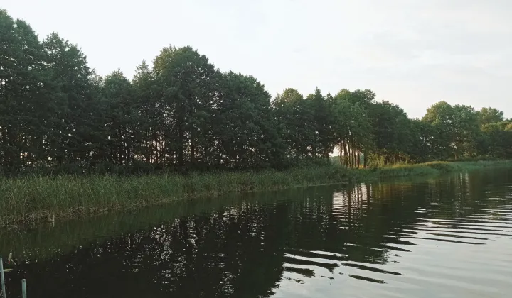 Działka siedliskowa Kosewo, ul. Lipnicka