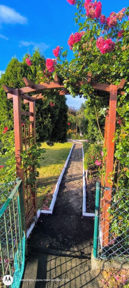 Działka rod Oborniki. Zdjęcie 6