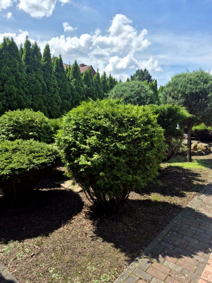 dom wolnostojący, 3 pokoje Grabowo. Zdjęcie 16