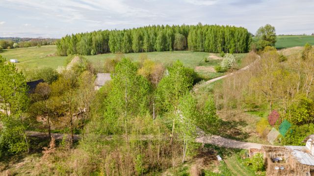 Działka Potryty. Zdjęcie 6