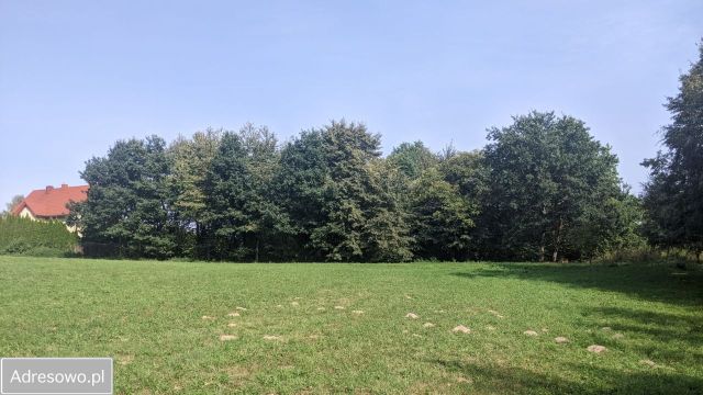 Działka budowlana Trzciana. Zdjęcie 1