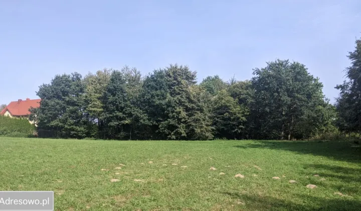 Działka budowlana Trzciana