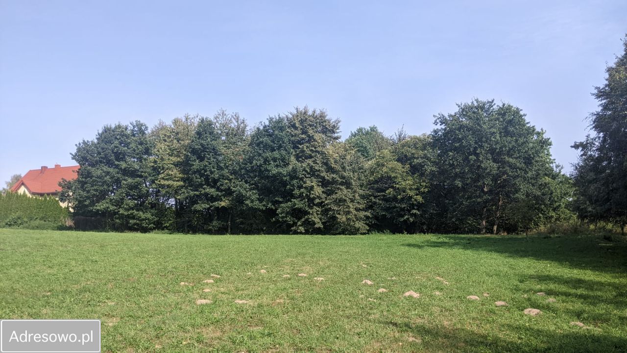 Działka budowlana Trzciana