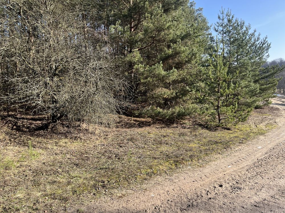 Działka inna Cychrowska Wola. Zdjęcie 6