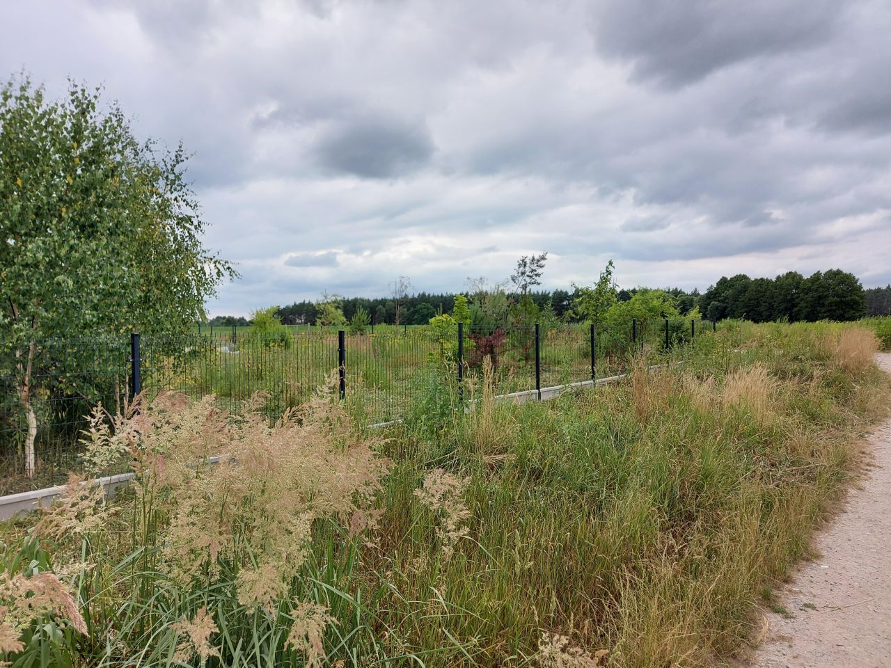 Działka budowlana Mosina, Bławatkowa. Zdjęcie 10