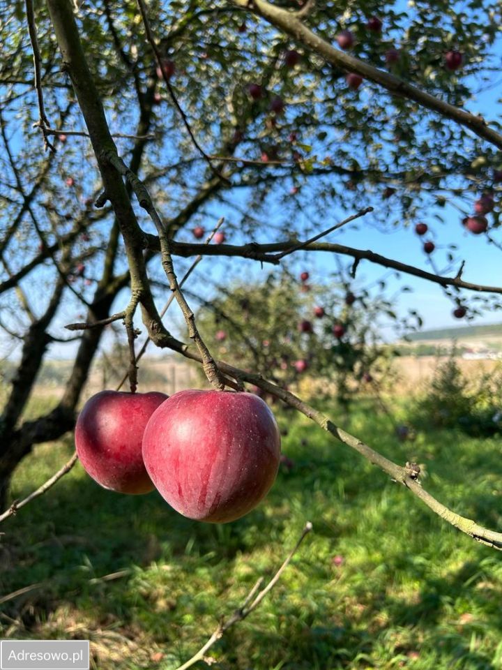 dom wolnostojący, 2 pokoje Uniejów-Rędziny Zakopane. Zdjęcie 13