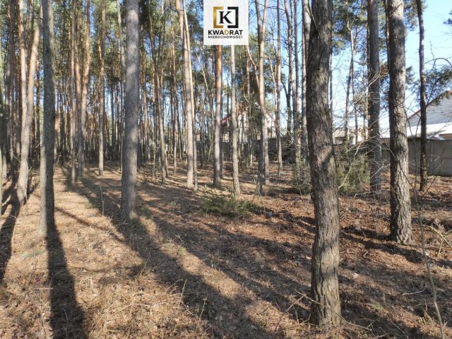 Działka budowlana Budy Wielgoleskie. Zdjęcie 5