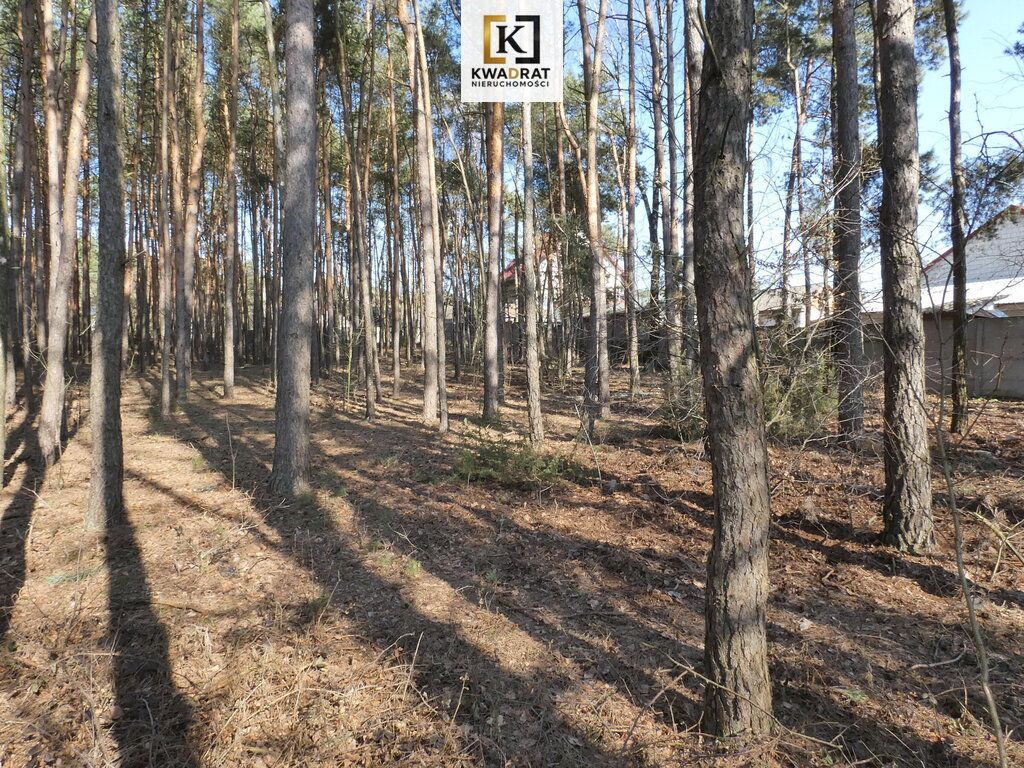 Działka budowlana Budy Wielgoleskie. Zdjęcie 5