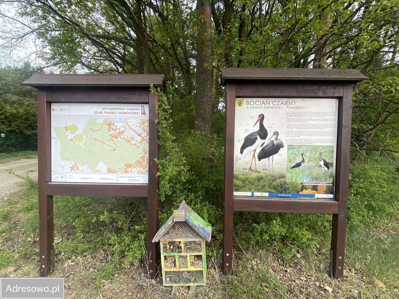 Działka budowlana Dopiewiec, ul. Wierzbowa. Zdjęcie 11