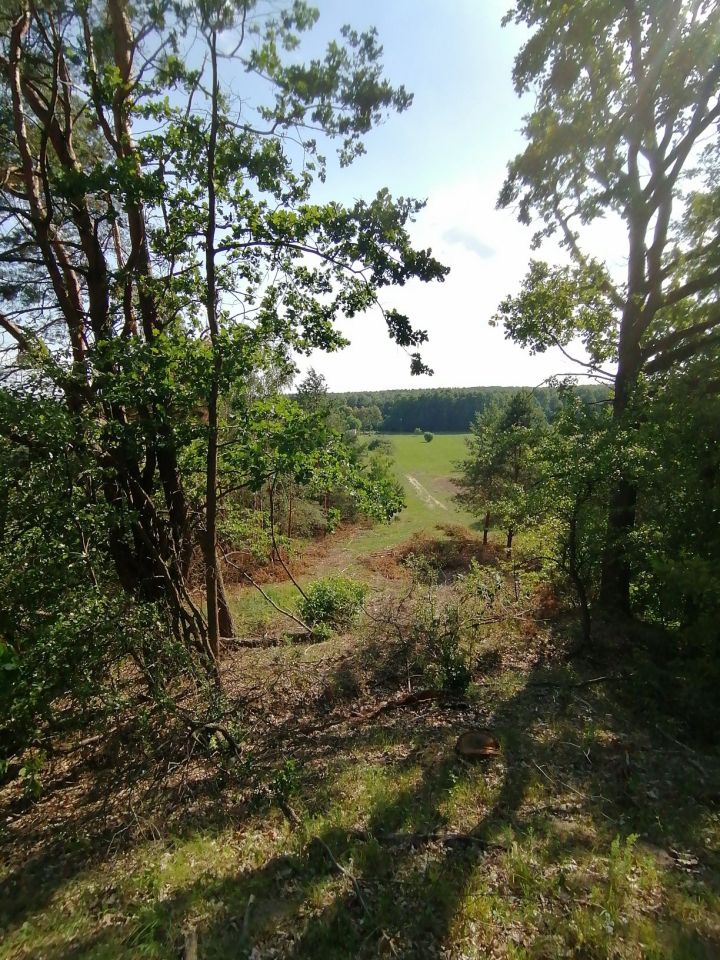 Działka rolno-budowlana Malamówka. Zdjęcie 5