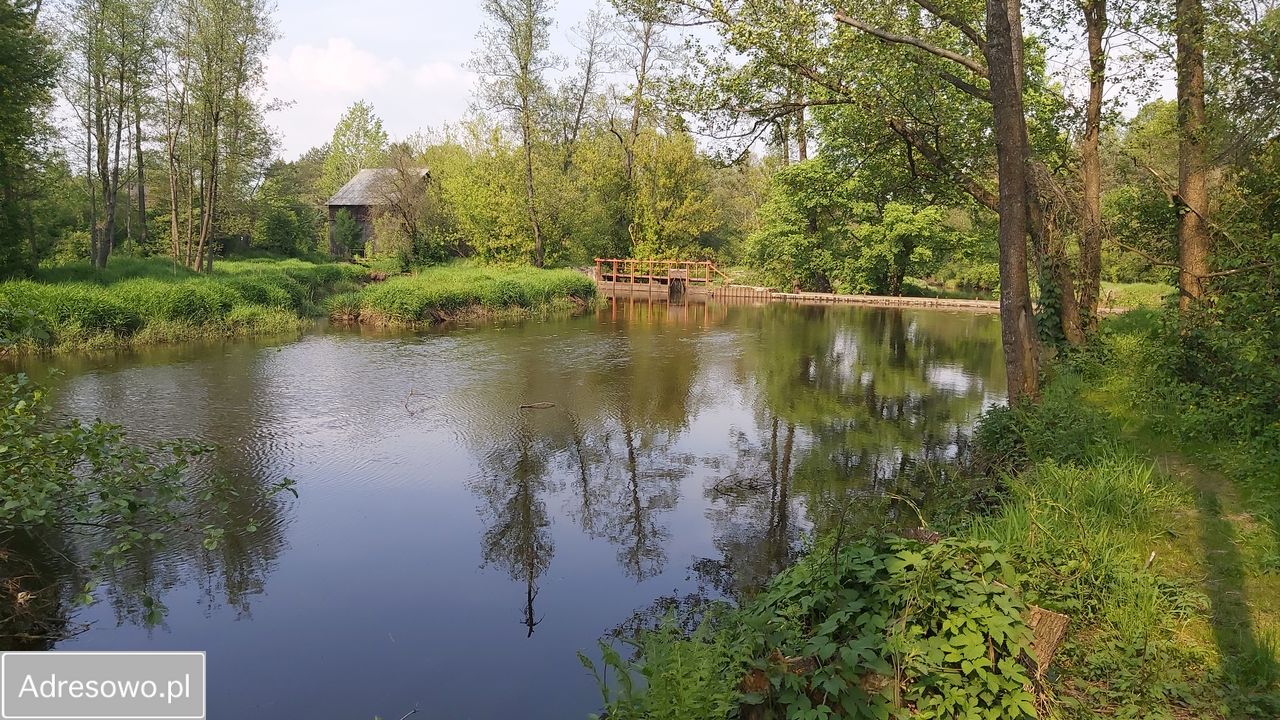 gospodarstwo, 3 pokoje Skarżysko-Kamienna. Zdjęcie 14
