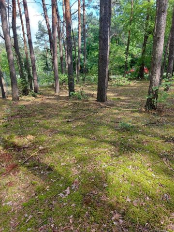 Działka budowlana Borek. Zdjęcie 1