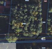 Działka budowlana Kruszyn, ul. Leśna. Zdjęcie 1