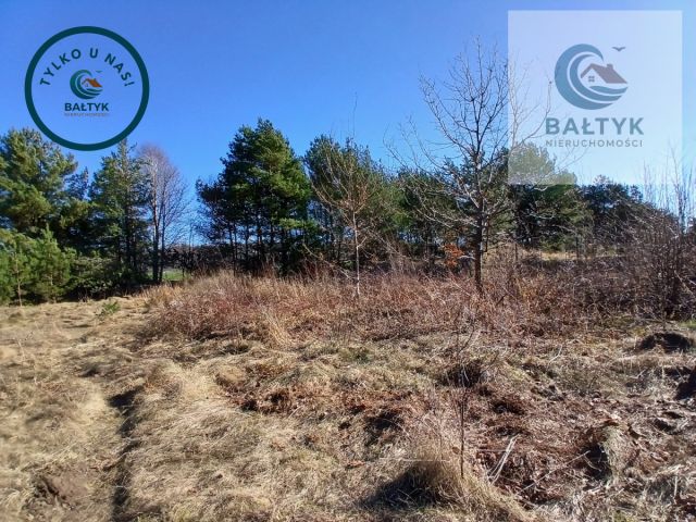 Działka budowlana Gowino. Zdjęcie 4