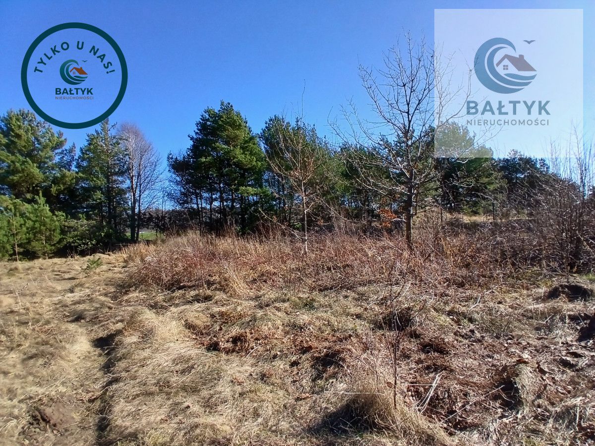 Działka budowlana Gowino. Zdjęcie 4