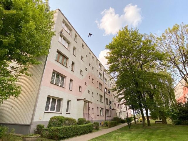 Mieszkanie 2-pokojowe Zabrze Centrum, ul. Jana Matejki. Zdjęcie 11