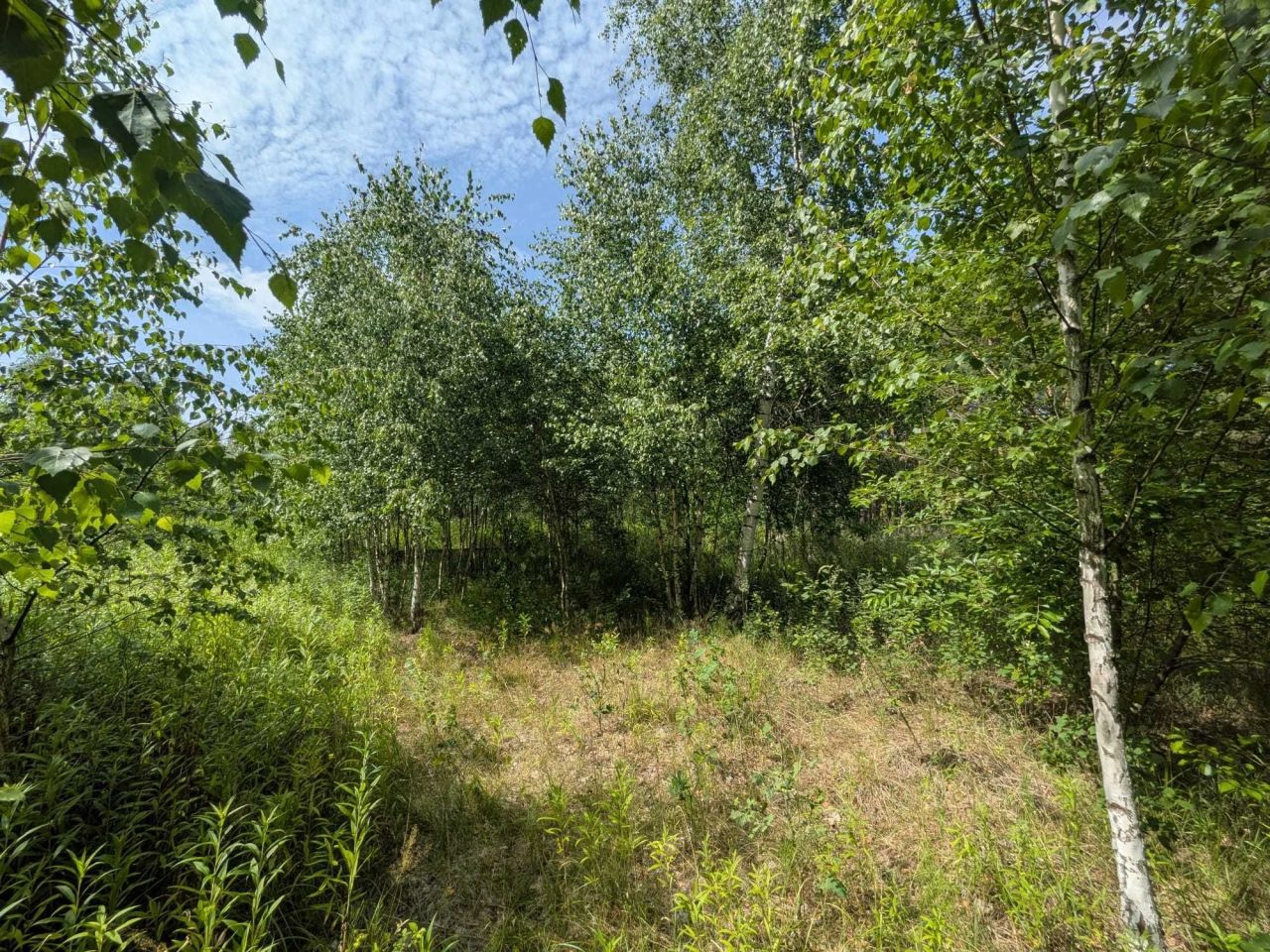 Działka budowlana Lipiny. Zdjęcie 7