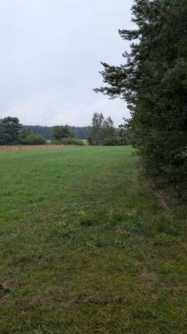 Działka rolna Danków Duży. Zdjęcie 1