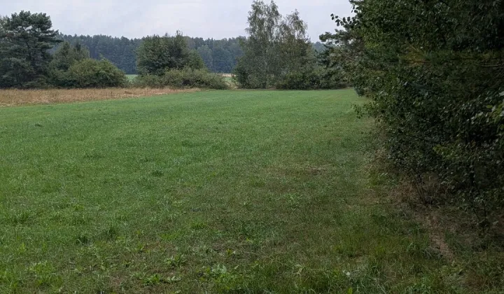 Działka rolna Danków Duży