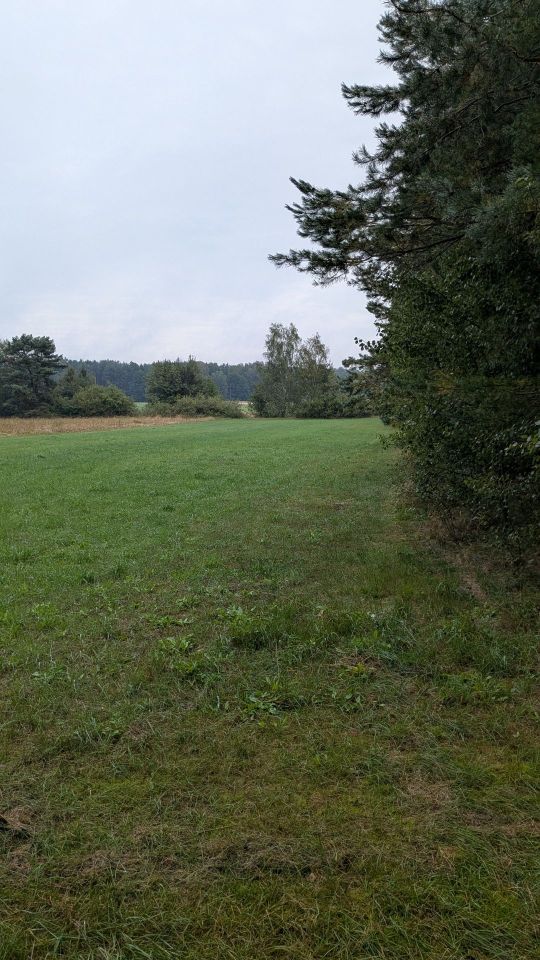 Działka rolna Danków Duży. Zdjęcie 1