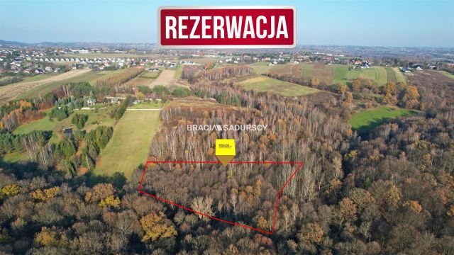 Działka leśna Szyce, ul. Teklomirska. Zdjęcie 1