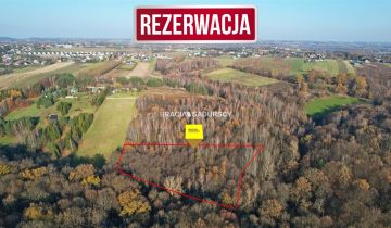 Działka leśna Szyce, ul. Teklomirska