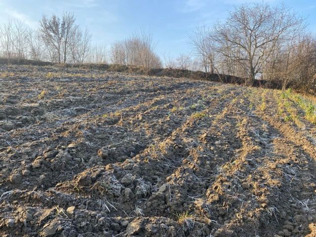 Działka rolno-budowlana Skalbmierz. Zdjęcie 1