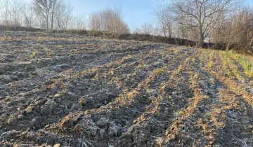 Działka na sprzedaż bez pośredników 
 
 Topola - Widok 5