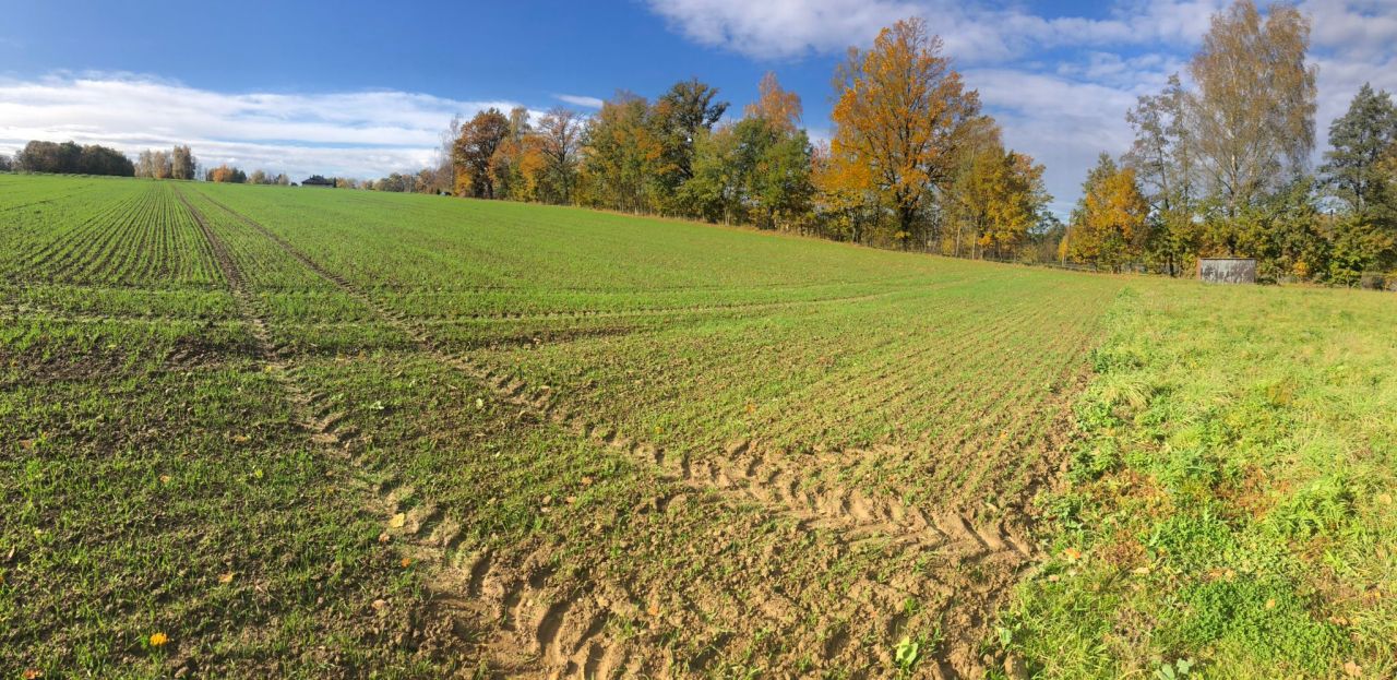 Działka rolno-budowlana Stara Wieś Stara Wieś Dolna, ul. Lipowa. Zdjęcie 8