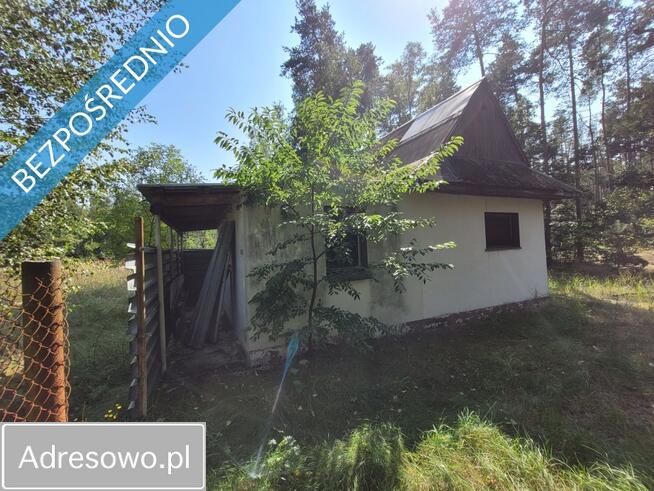 Działka siedliskowa Kamińsko. Zdjęcie 4