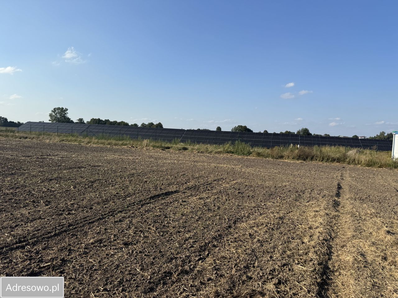 Działka rolno-budowlana Jedlno Drugie. Zdjęcie 7