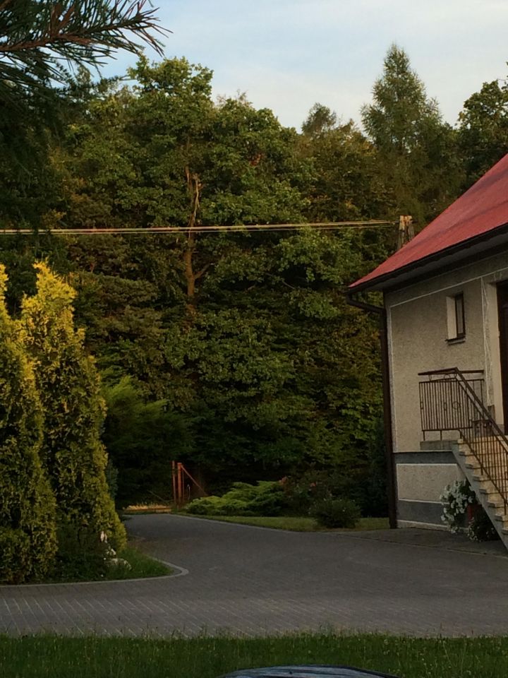 dom wolnostojący, 7 pokoi Gosprzydowa. Zdjęcie 6