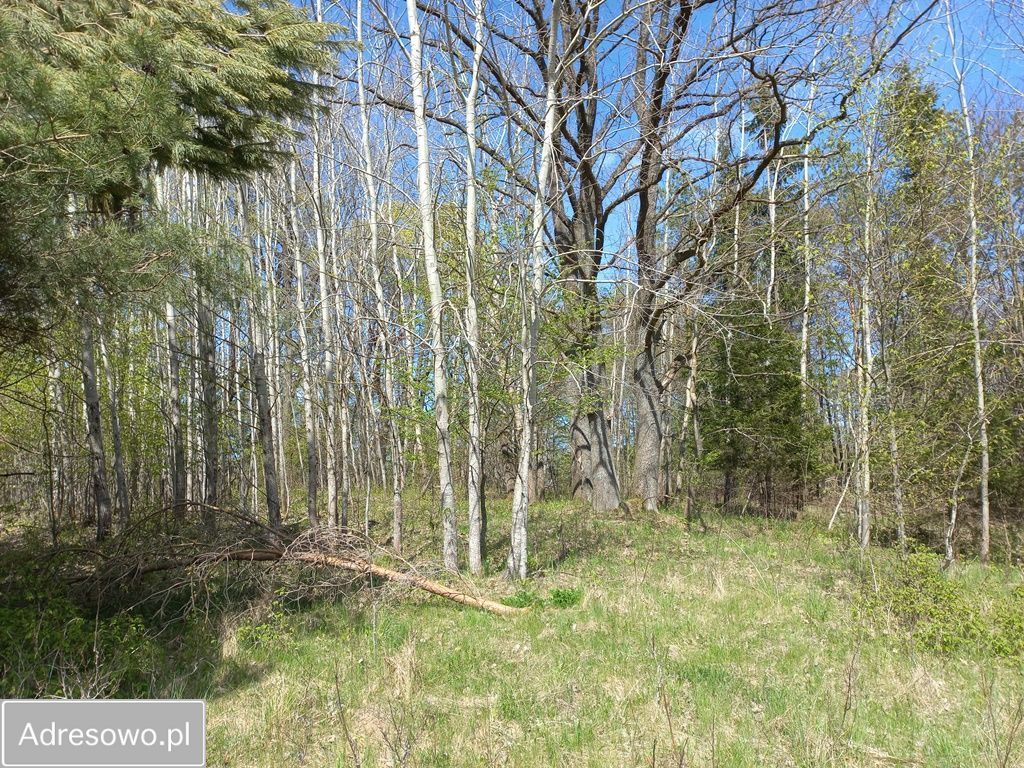 Działka rolna Niebrzydowo Wielkie. Zdjęcie 13