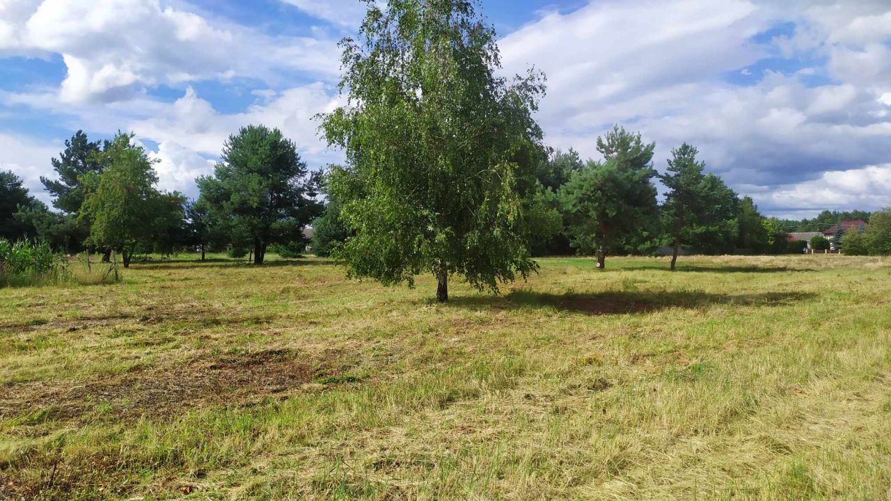 Działka rolna Jadachy Hermanówka. Zdjęcie 2