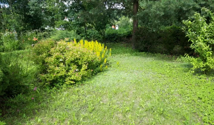 Działka rod Storkówko