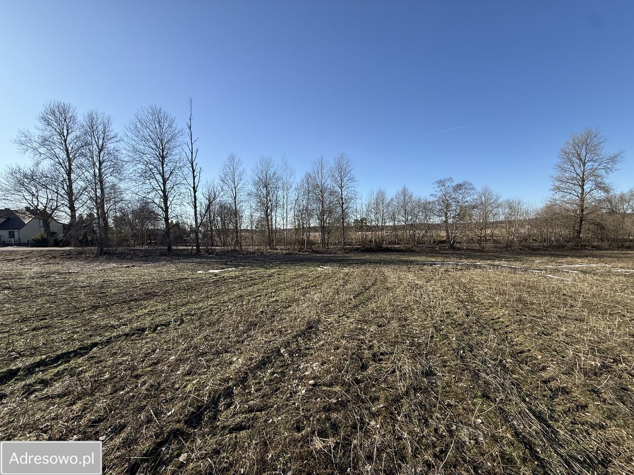 Działka siedliskowa Chrzanowo. Zdjęcie 6