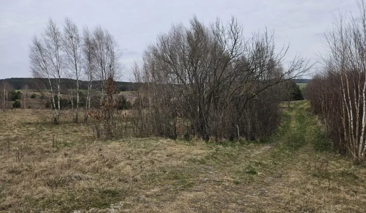 Działka budowlana Nowy Dwór