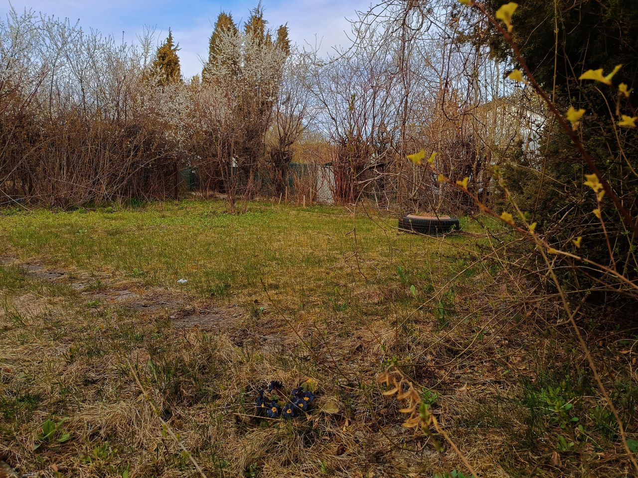 Działka rekreacyjna Klebark Mały. Zdjęcie 7