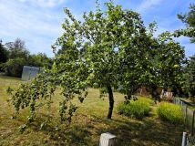 Działka rod Witów-Kolonia. Zdjęcie 1