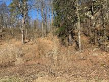 Działka budowlana Trzcińsko. Zdjęcie 2