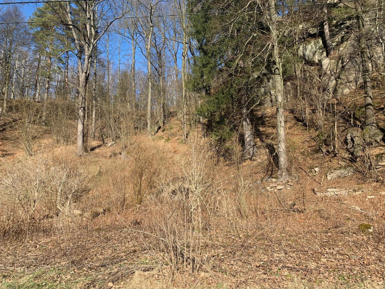 Działka budowlana Trzcińsko. Zdjęcie 3