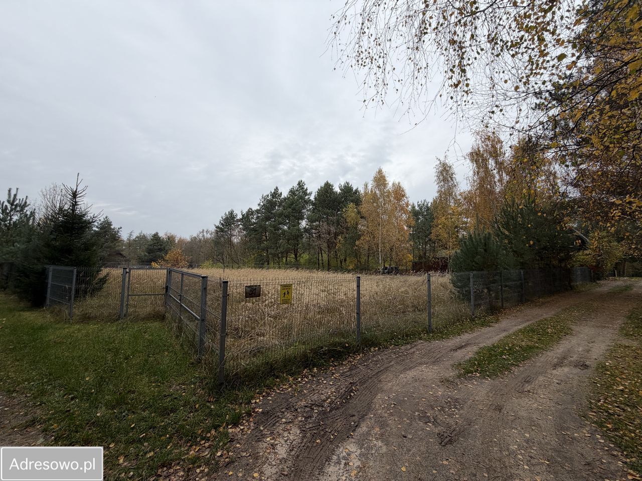Działka rekreacyjna Zygmuntowo. Zdjęcie 4